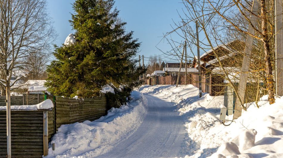 Уютный дом в Лесной сказке