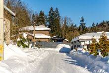 Уютный дом в Лесной сказке