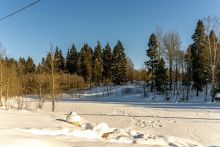 Уютный дом в Лесной сказке