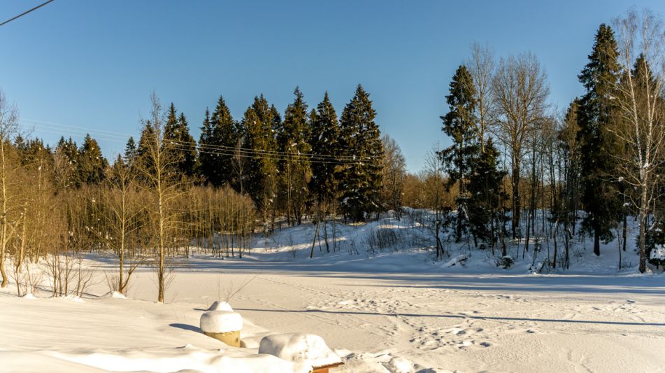 Уютный дом в Лесной сказке