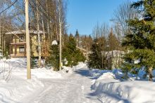 Уютный дом в Лесной сказке