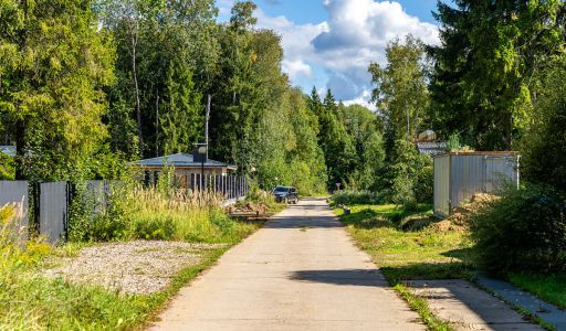 Деревянный дом в Пушкинском лесу