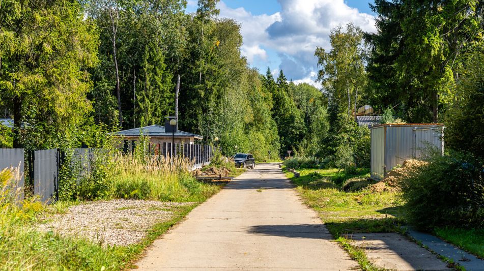 Деревянный дом в Пушкинском лесу