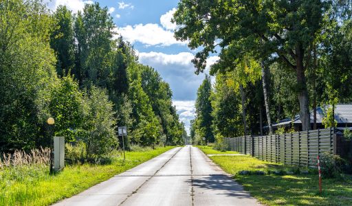 Деревянный дом в Пушкинском лесу