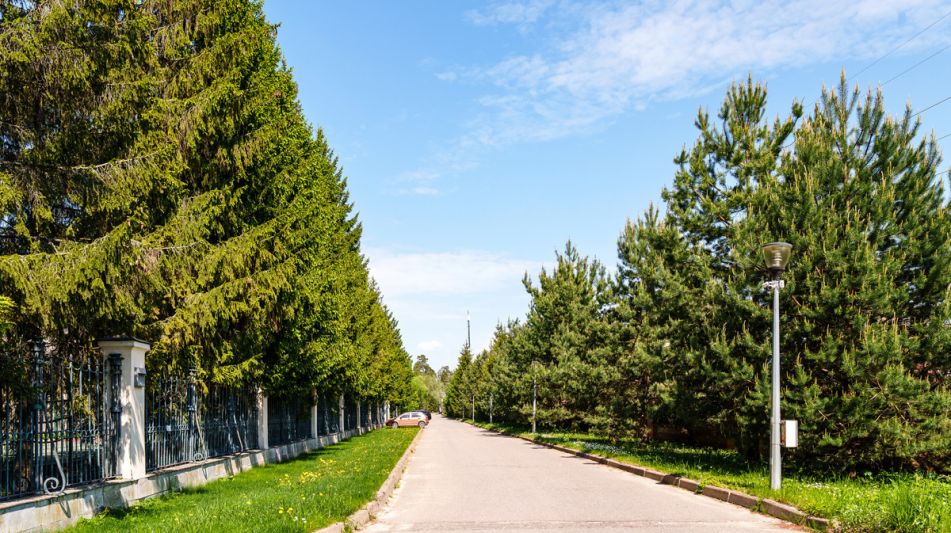 Дом в КП Косыгинсие дачи