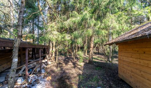 Участок у воды в Руза Фэмили Парк