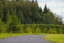 Участок в КП Ели Эстейт