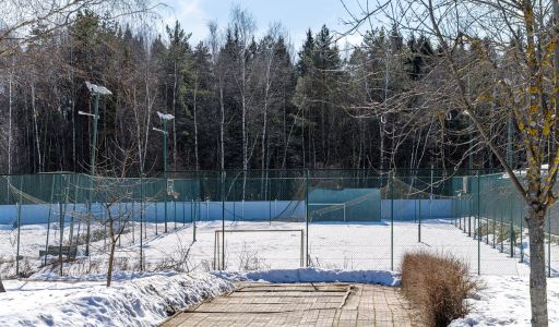 Лосиноостровские усадьбы