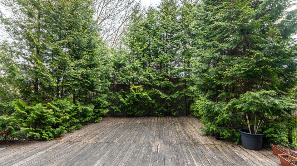 Уютный таунхаус в КП Зеленый Мыс