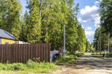Пушкинский лес