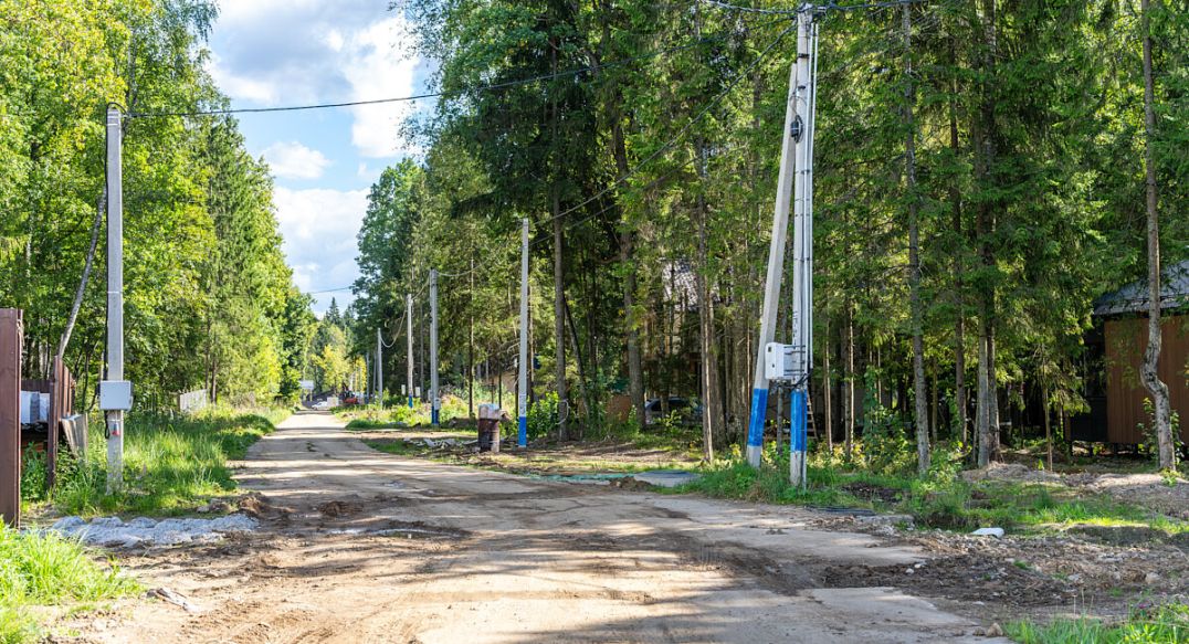 Пушкинский лес