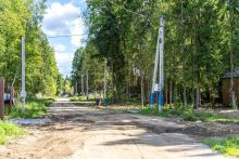 Пушкинский лес
