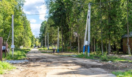 Пушкинский лес