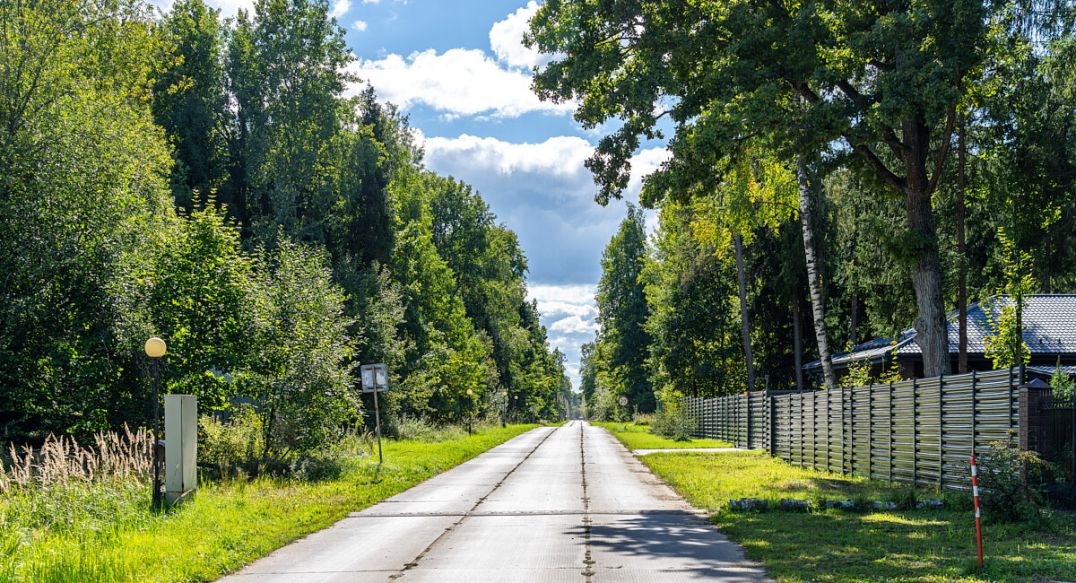 Пушкинский лес
