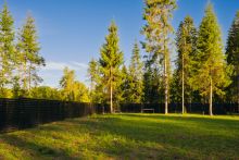 Лесной участок в КП Ели Estate