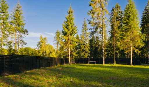 Лесной участок в КП Ели Estate