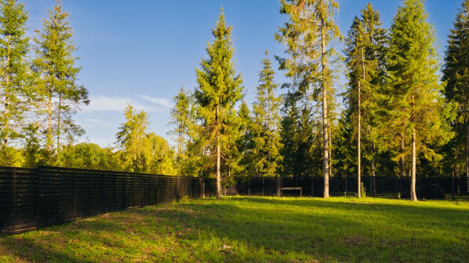 Лесной участок в КП Ели Estate