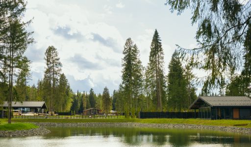 Лесной участок в КП Ели Estate