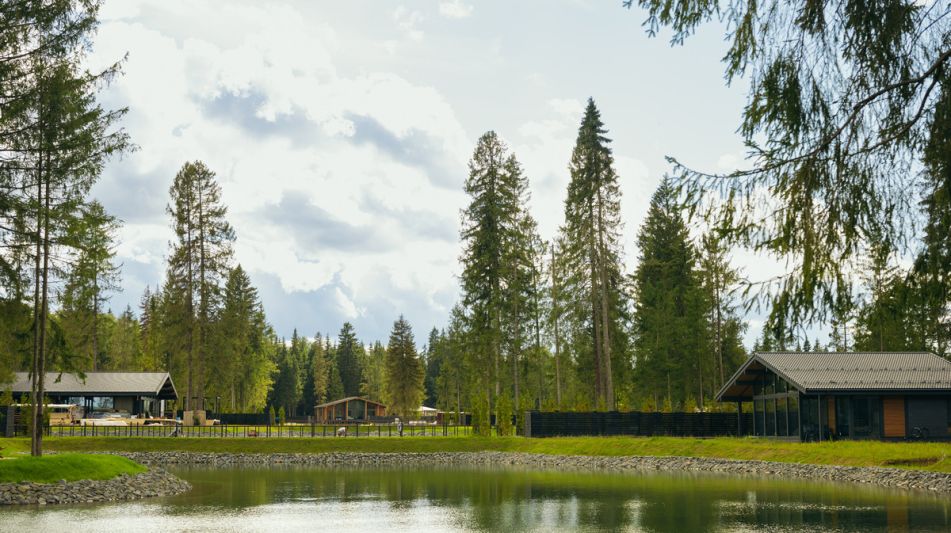 Лесной участок в КП Ели Estate