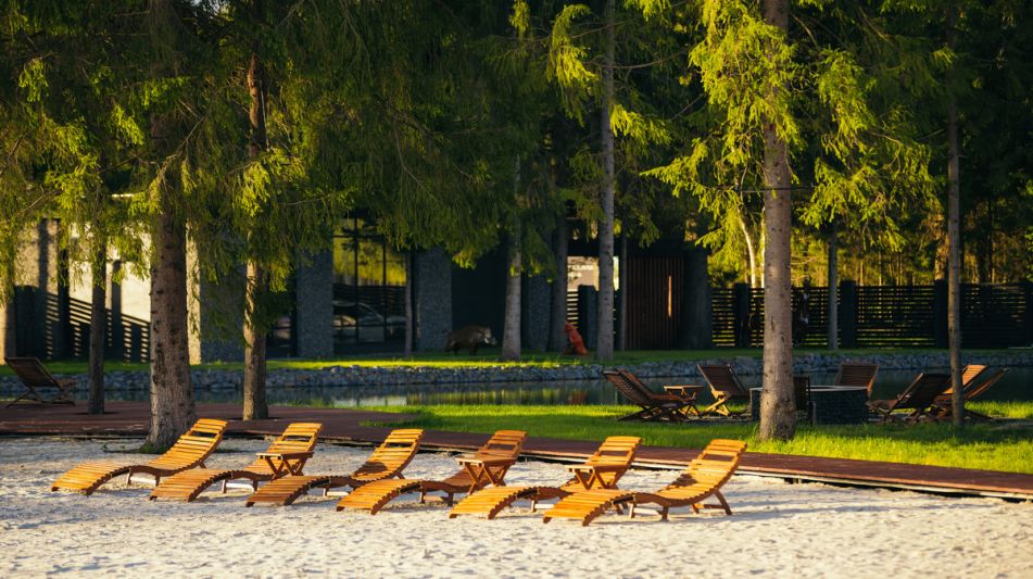 Лесной участок в КП Ели Estate