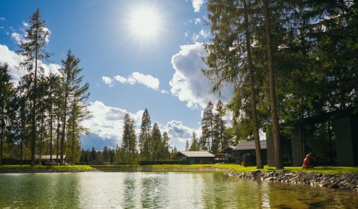 Лесной участок в КП Ели Estate