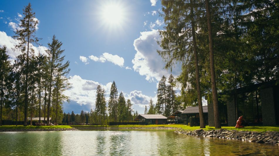 Лесной участок в КП Ели Estate