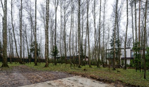 Лесной часток в КП Лесные зори