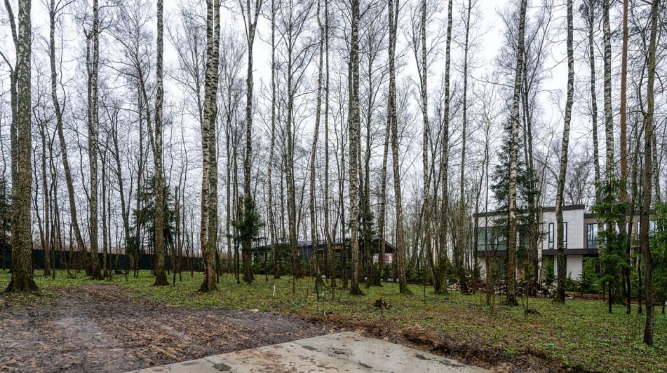 Лесной часток в КП Лесные зори