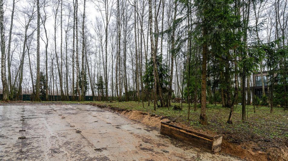 Лесной часток в КП Лесные зори