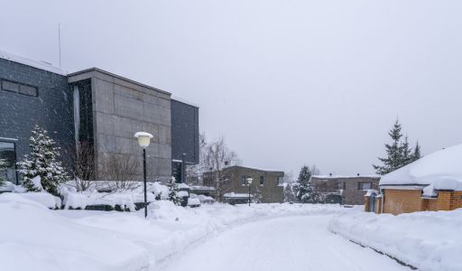 Дом с бассейном в Малом Сареево