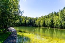 Усадьба в КП Вальдорф