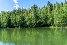 Усадьба в КП Вальдорф