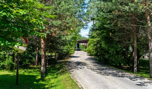 Вальдорф