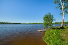 Прилесной участок в кп Аврора