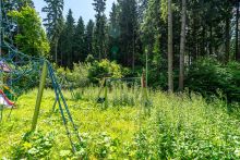 Писатели Форест