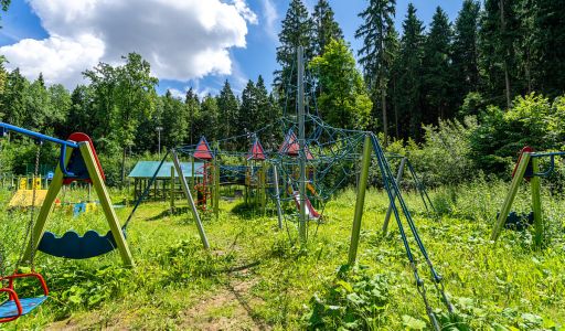 Писатели Форест