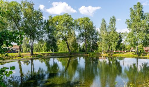 Готовый дом в поселке Дмитровец