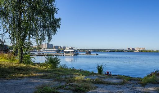Дом в лесу в Новоалександрово
