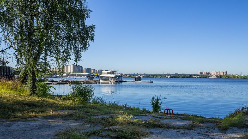 Дом в лесу в Новоалександрово