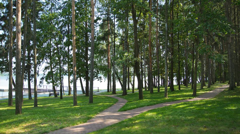 Участок 1 линия КП Лазурный берег