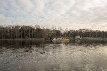 Золотой город