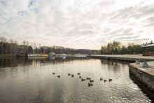 Золотой город