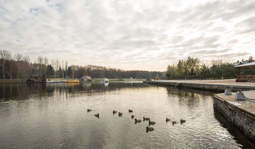 Золотой город