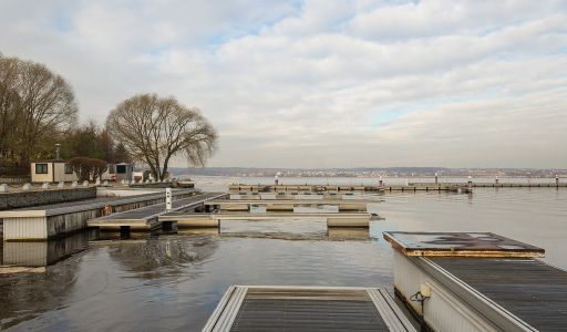 Золотой город