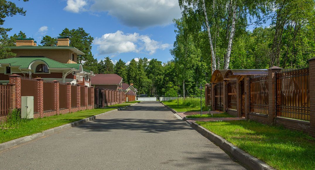 Княжий бор