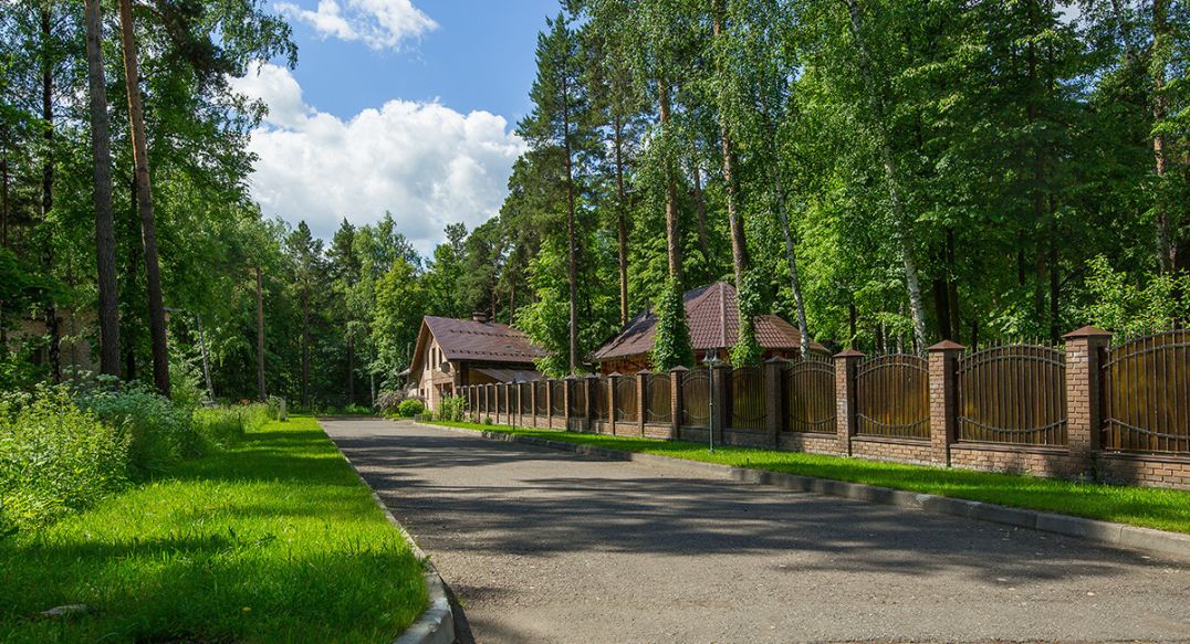Княжий бор