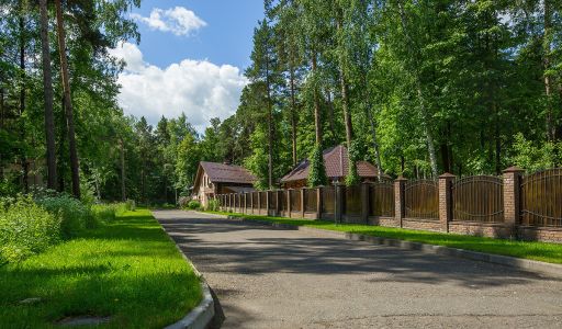 Княжий бор