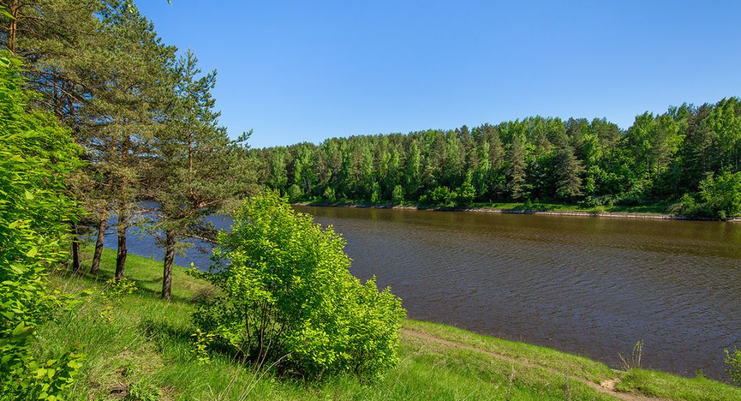Новосельцево