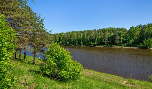 Новосельцево