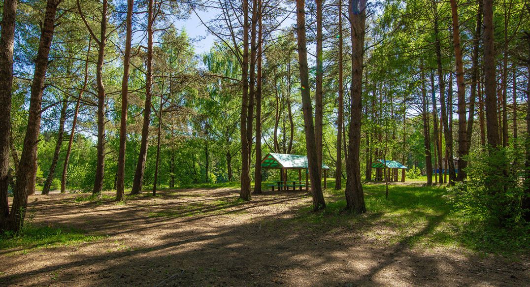 Новосельцево